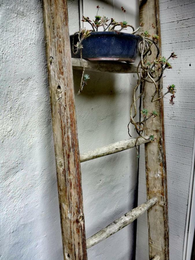 Casa Del Nespolo Bed and Breakfast Pilzone Εξωτερικό φωτογραφία